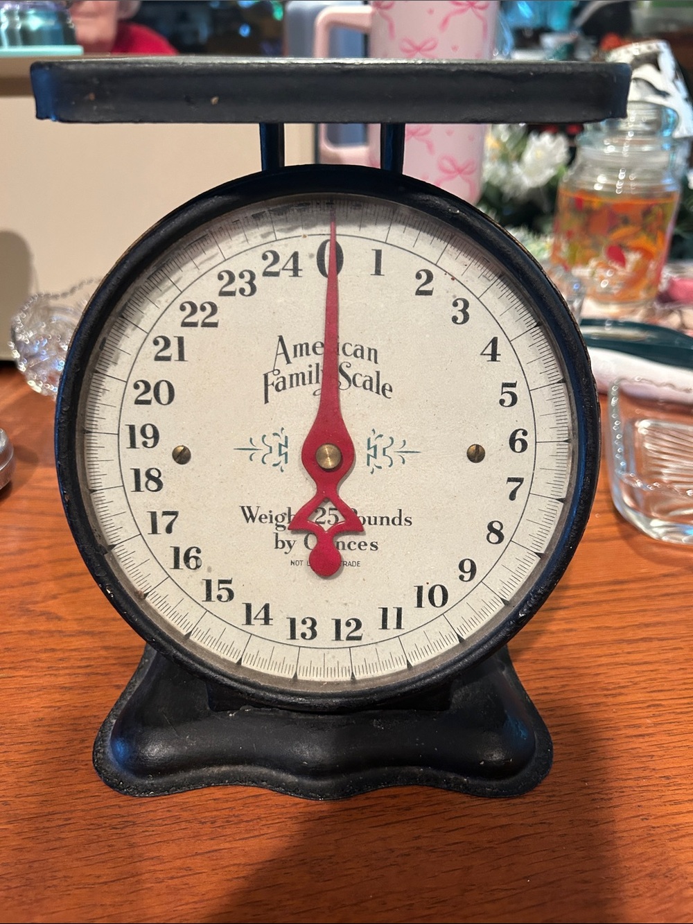 Vintage American family scale 25 pound